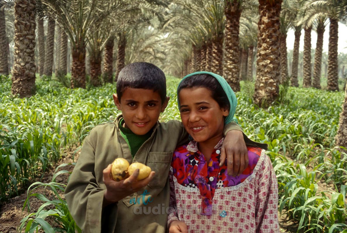 EGIPTO: TIERRA DE CONTRASTES. Two photographic expeditions to Egypt; 1994 and 1997 Farmers at Saqqara