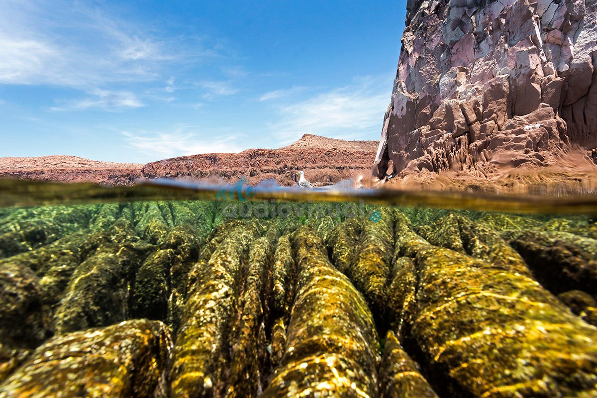 UN VIAJE EN YATE POR LAS ISLAS ESPÍRITU SANTO, PARTIDA, SAN FRANCISQUITO Y SAN JOSÉ. AL NORTE DE LA PAZ, BAJA CALIFORNIA NORTE, MÉXICO